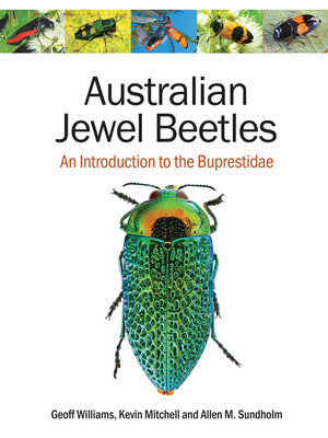 cover image of Australian Jewel Beetles